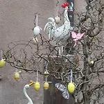 Commanderie Apartman