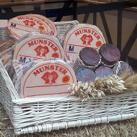 Commanderie Lägenhet Colmar