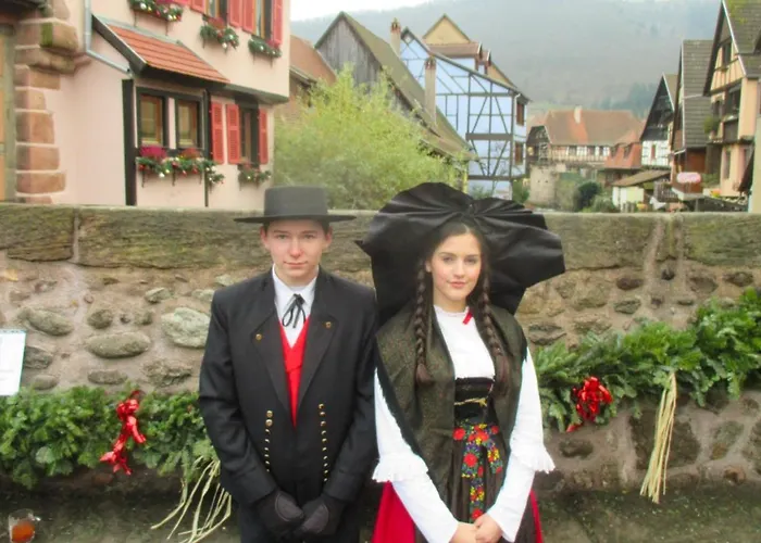 Апартаменты Commanderie Кольмар